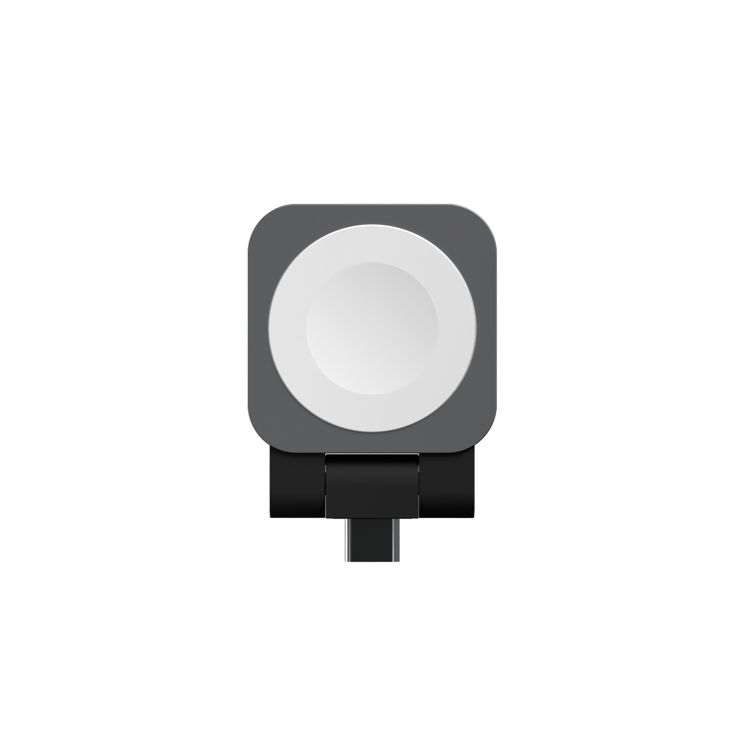 Site Watch Puck