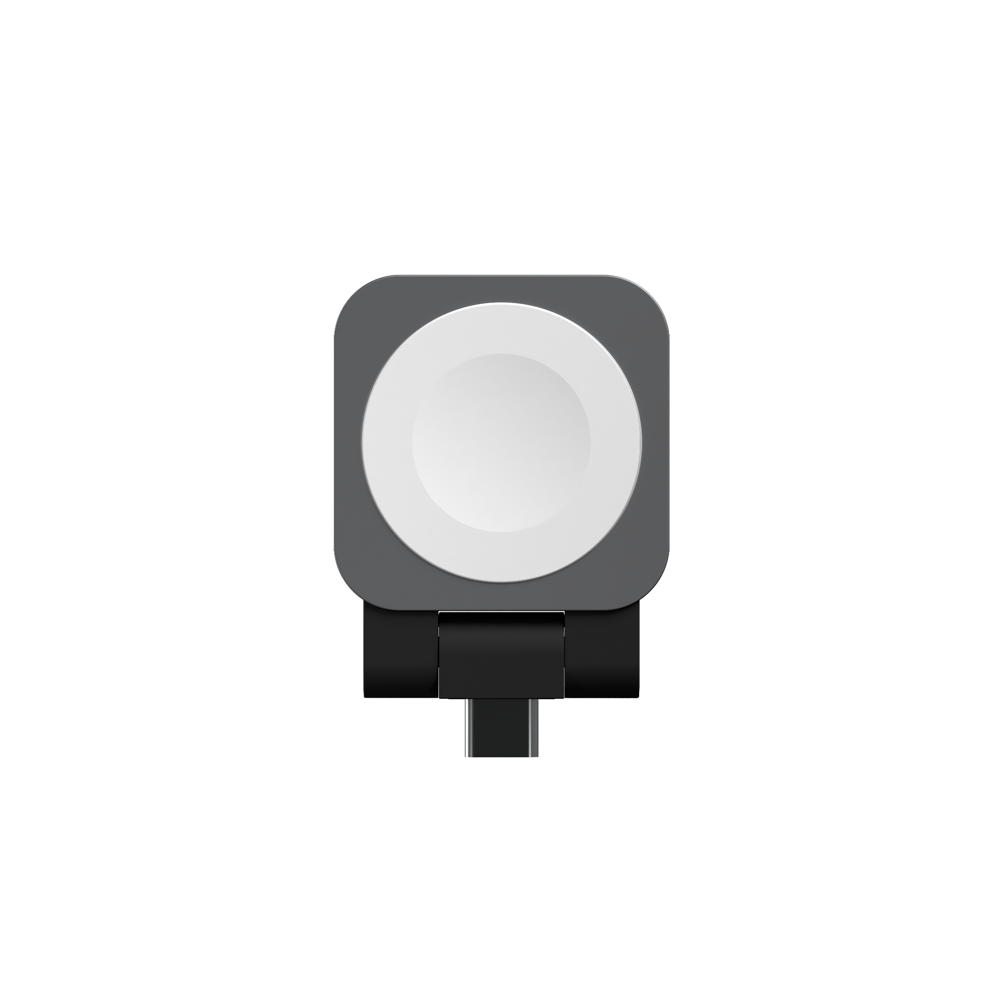 Site Watch Puck